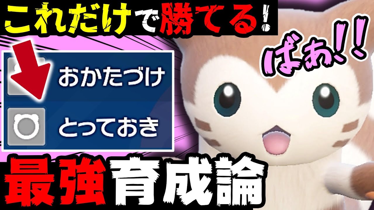 【驚愕】”技2つ”だけで伝説厨にも勝てるwww オオタチ最強育成論はこれ‼️【ポケモンSV】