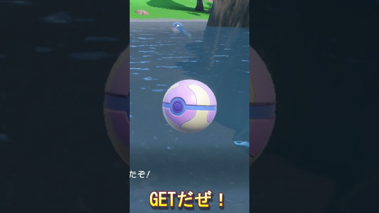 【ポケモンSV】キタカミの里　色違い厳選　ランクマでも活躍します　ニョロモ【#ニョロトノ】