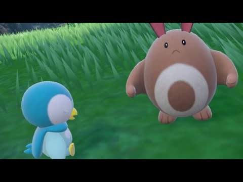 【ゼロの秘宝/碧の仮面】　オヤブン色違いのポッチャマと散歩して休憩していたらオタチが近寄ってきた🥰なんて可愛くて平和な空間😻最後にはヘイガニまで🦀🎵　【ポケモンSV/PokemonSV】