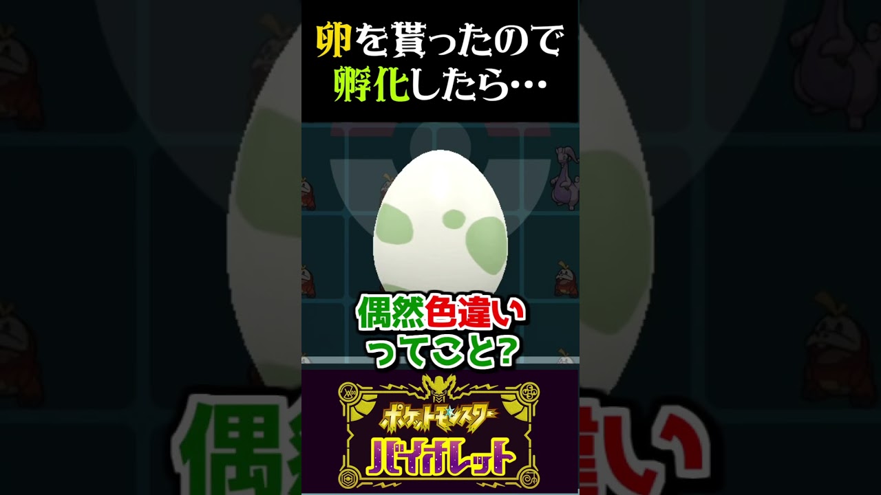 【奇跡？】視聴者から貰った『卵』孵化させたらとんでもない奇跡が…！？【ポケモンSV】【スカーレット・バイオレット】【うさごん】