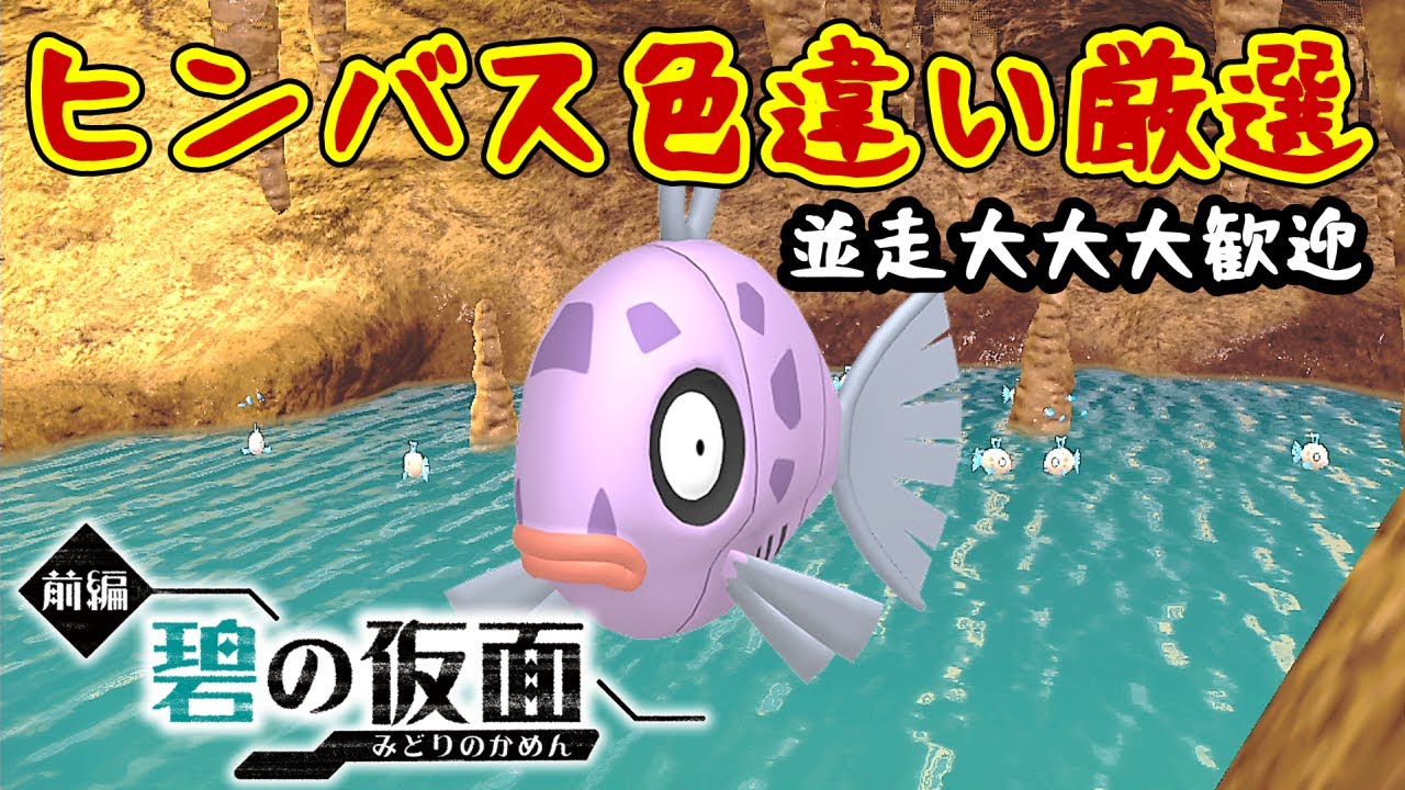 【色厳選】ひとしら色違いヒンバスを血眼になって探す(✨147体~)＃21【ポケモンSV/配布用個体集め】