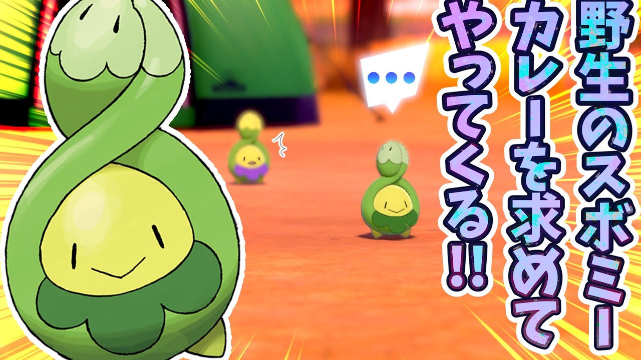 スボミー大好き限界オタクなVtuberがカレースボミー狙った切抜き【鴬ノア/vtuber】