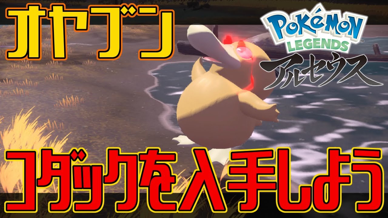 【ポケモンアルセウス】オヤブンのコダックを入手しよう【Pokémon LEGENDS アルセウス】