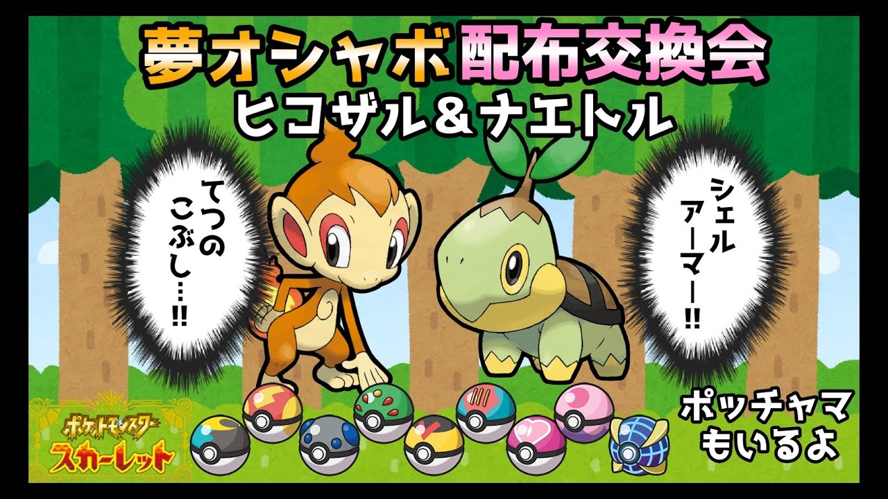 【初見歓迎】夢オシャボヒコザル＆ナエトル配布会！【ポケモンSV】【碧の仮面】