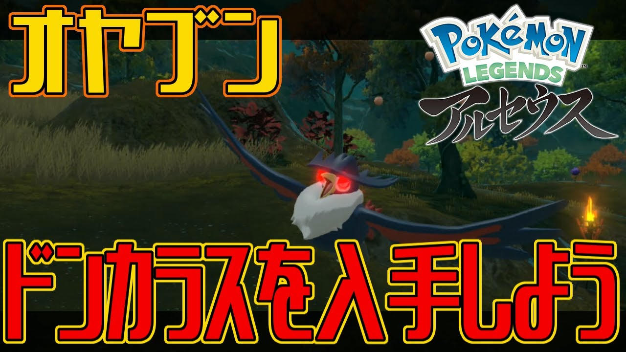 【ポケモンアルセウス】オヤブンのドンカラスを入手しよう【Pokémon LEGENDS アルセウス】