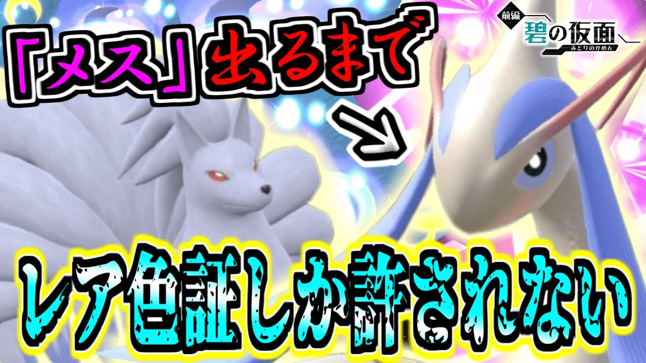 【色証オシャボ厨】レア色証化計画‼︎「ミロカロス」の『メス』と「キュウコン」狙い‼︎ 【ポケモンSV】