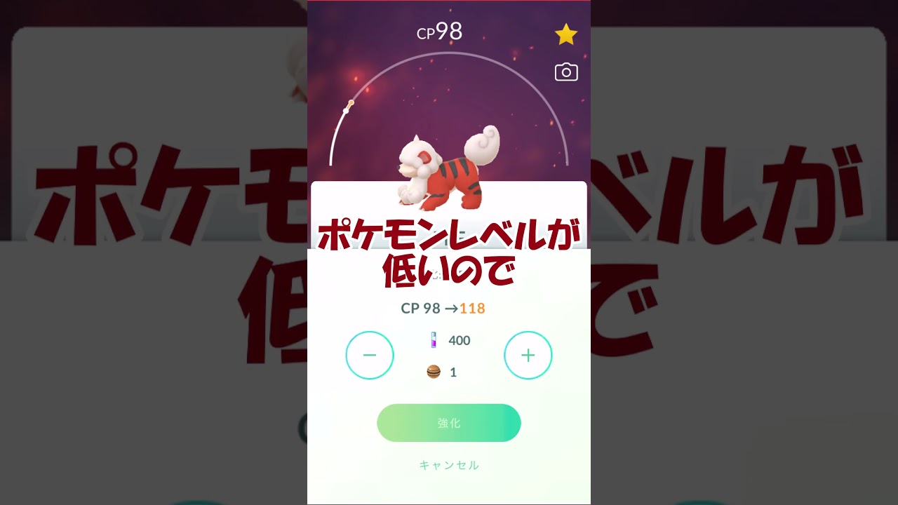ヒスイガーディ🔥個体値100％PL50強化✨ #pokemongo #ポケモンgo #shorts