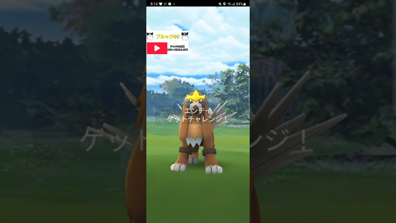 【レイド】エンテイレイド光りました❗【ポケモンGO】【ブルックGO】【色違いポケモン】 #shorts