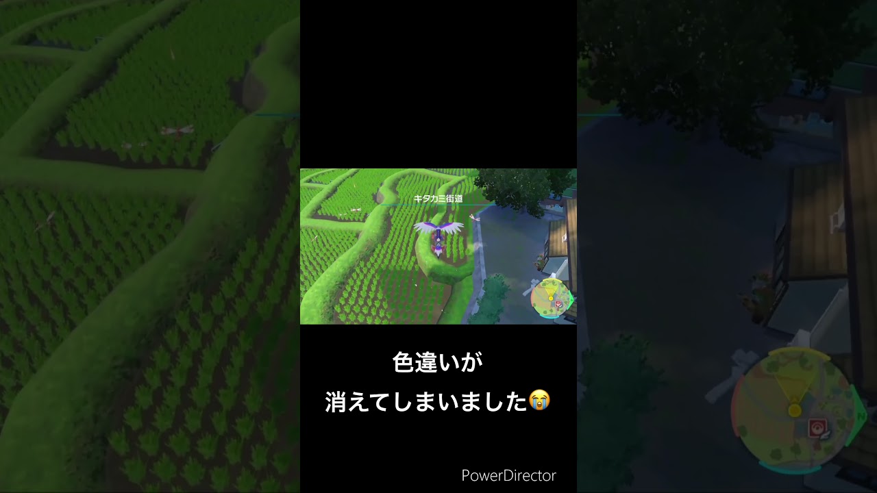 【ポケモンSV/碧の仮面】世界初！看板色違い厳選！ヤンヤンマ色違い厳選 【誰でも簡単】#ショート #ポケモンsv #碧の仮面 #色違い厳選