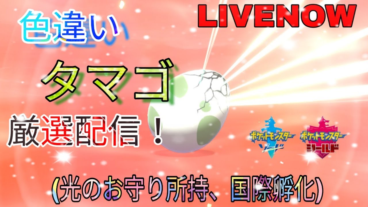 【ポケモンシールド】ヒトツキ色違い厳選！（光るお守り・国際孵化）雑談配信！【フレンドコードは概要欄に】