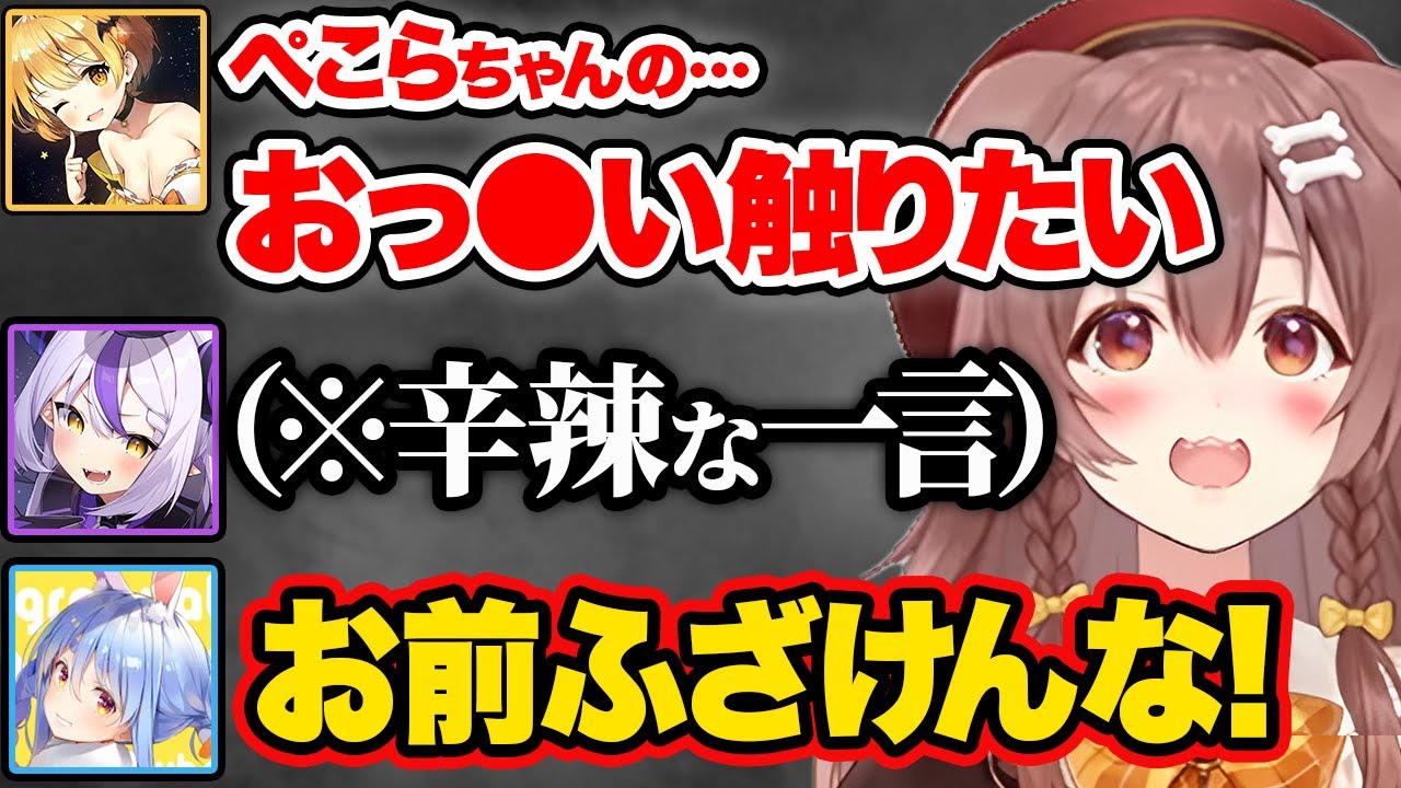 メルの発言を勘違いし、ぺこらにだけ辛辣すぎる一言を放つラプ様に爆笑するころさんw【ホロライブ 戌神ころね ラプラスダークネス 兎田ぺこら 博衣こより 切り抜き Vtuber hololive】