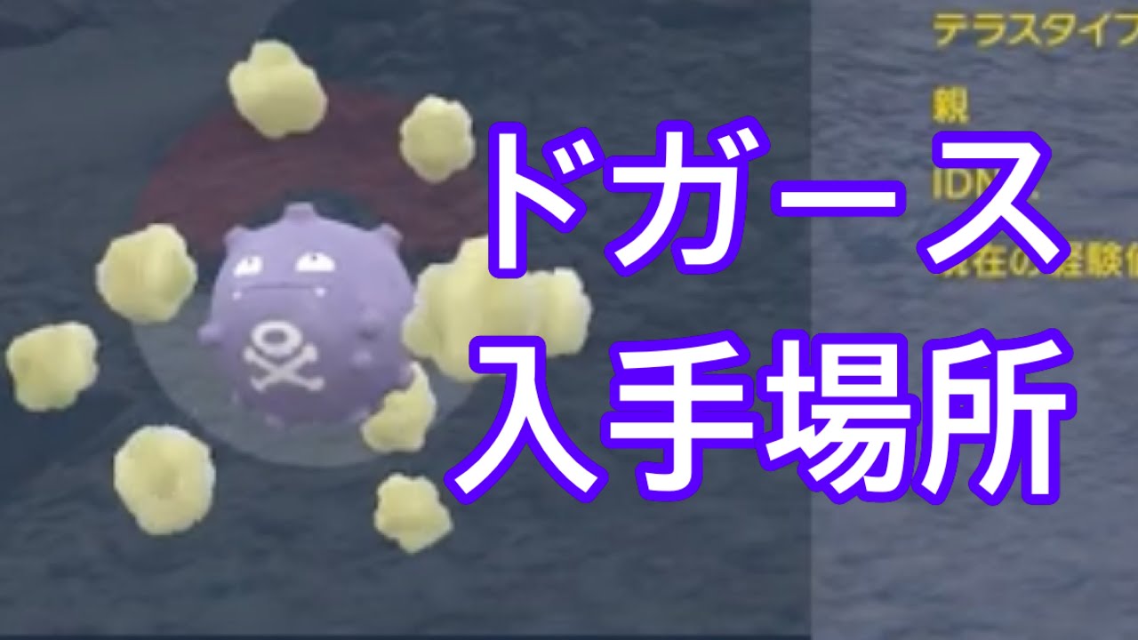 【ポケモンSV】【DLC】ドガース入手場所