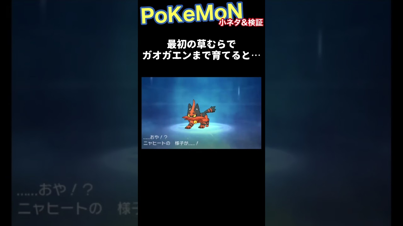 最初の草むらでガオガエンまで育てると…　#ポケモンusum #shorts  #小ネタ #検証