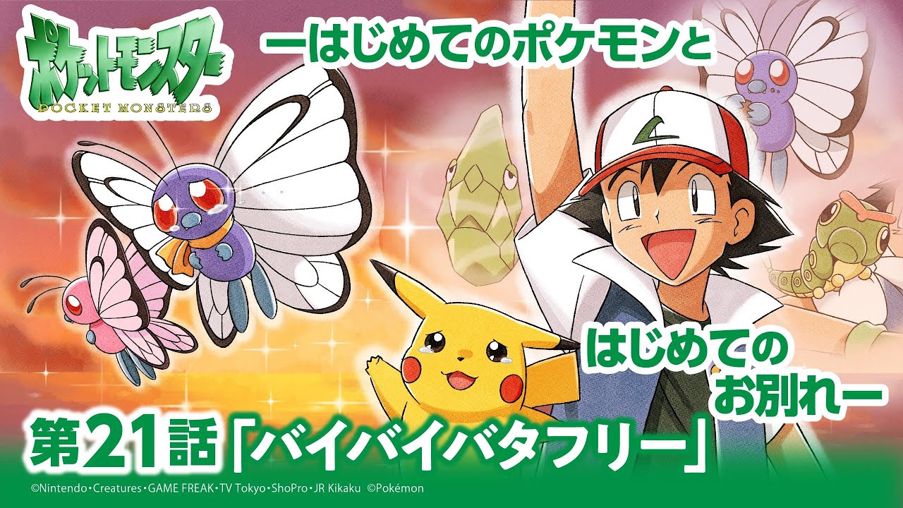 【公式】アニメ「ポケットモンスター」第21話「バイバイバタフリー」（アニポケセレクション）
