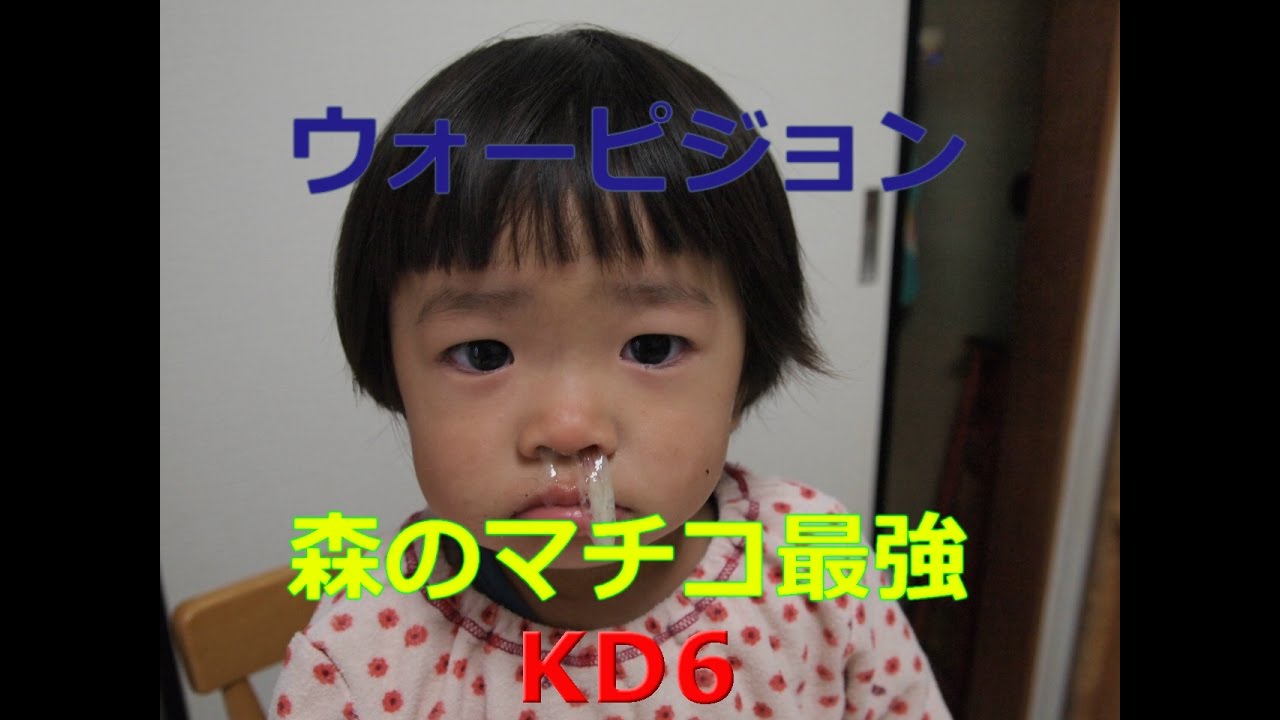 【PC】BF1 ウォーピジョン72K12D