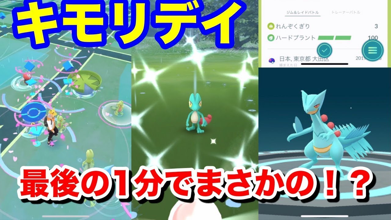 【ポケモンGO】色違いキモリを探せ！最後の1分まで何が起こるか分からない！【コミュニティデイ】