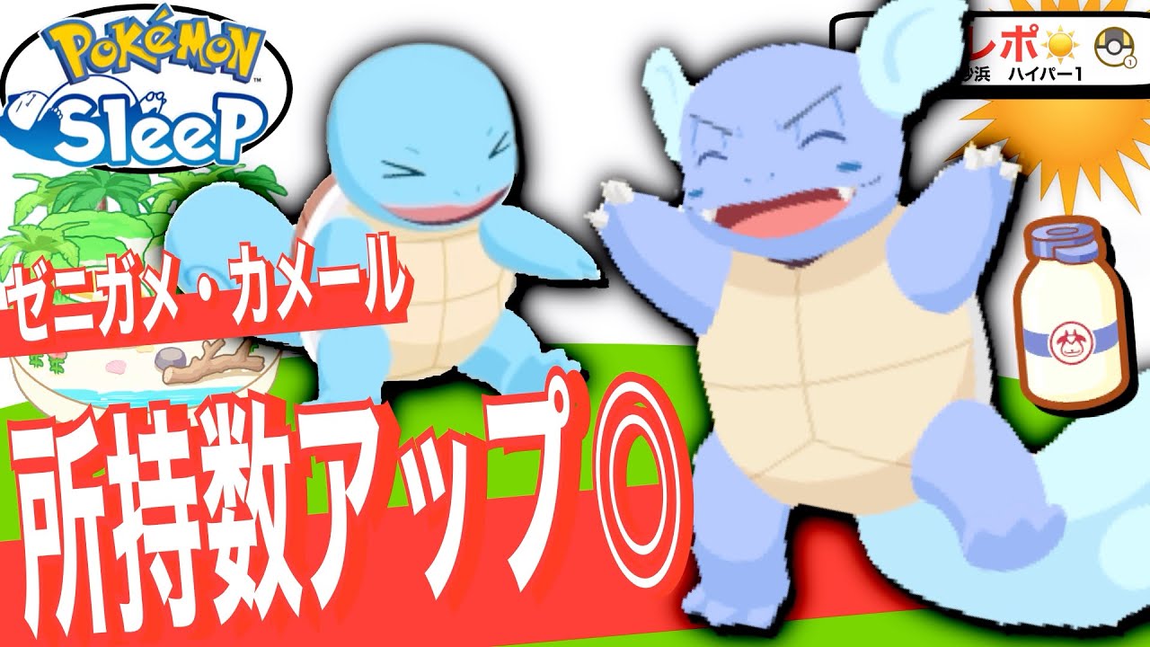 シアンの砂浜の食材担当といえば！ゼニガメ・カメール【ポケモンスリープ】