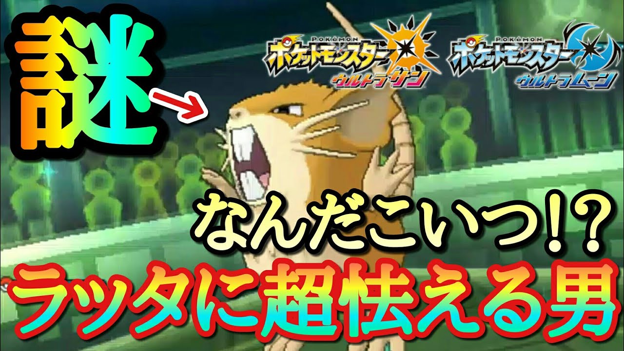 【ポケモンUSUM】なんだこのポケモン！？ラッタが怖すぎるｗｗｗ【ウルトラサン/ウルトラムーン】
