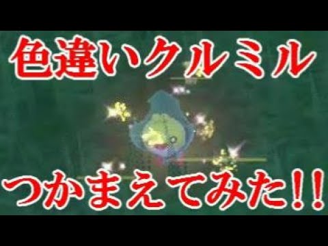 【ポケモンSV】色違いクルミルつかまえてみた！！