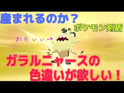 初のゲーム実況！ポケモン剣盾で色違いのガラルニャースを狙う！[ポケモン剣盾実況#1]
