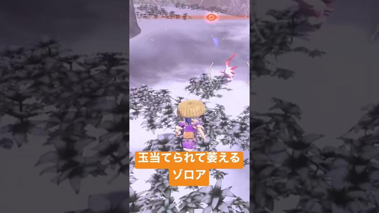 [ポケモン]ゾロア可愛い