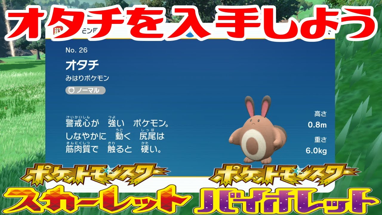 【ポケモンSV】オタチを入手しよう【ポケットモンスター スカーレット・バイオレット ゼロの秘宝 碧の仮面】Pocket Monsters