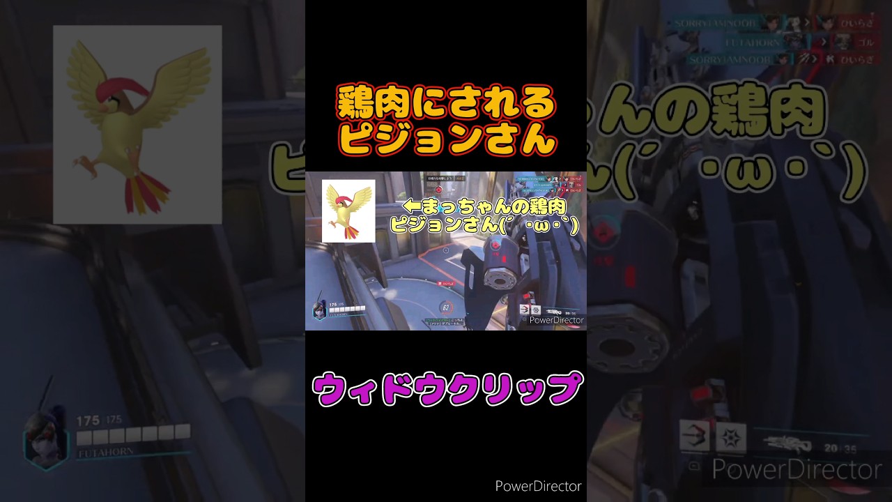 鶏肉にされるピジョンさん #overwatch2 #オーバーウォッチ2 #オバウォ2 #ウィドウメーカー #スナイパー #ポケモン#ピジョン #鶏肉料理