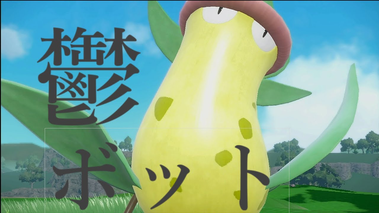 物理受けウツボットが環境ポケ達を受け流す！ウツボット、お前パルデアで輝いてるよ！（テラスタル）