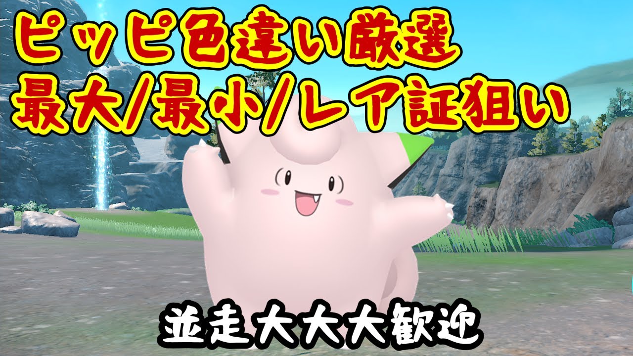 【色厳選】ピッピ大量発生イベント(✨０体~)！最大or最小、レア証の色違いを血眼になって探す＃１【ポケモンSV/碧の仮面】