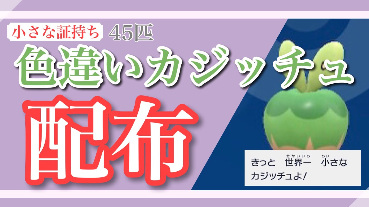 【ポケモンSV】何でも交換会！ 図鑑埋めVer！最小証持ちカジッチュを40匹くらい流すよ！【初見、初心者大歓迎】
