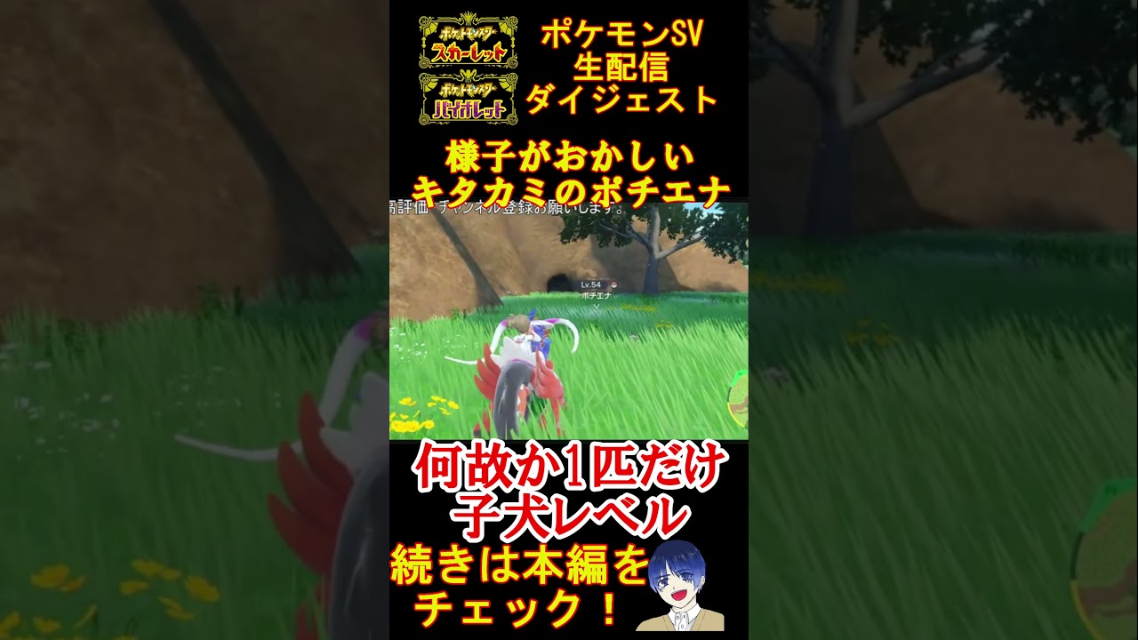 【超激レア】野生のポチエナのレベルがどう見てもおかしい件www【ポケモンSV】【碧の仮面】#shorts