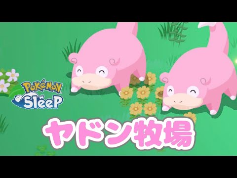 ヤドンたちを育てることにした【ポケモンスリープ】【Pokémon Sleep】