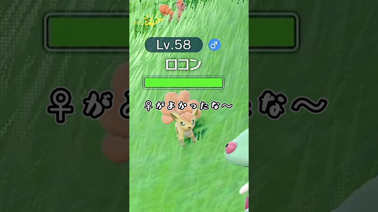 色違いロコンのボヤキ【ポケモンSV】【碧の仮面】