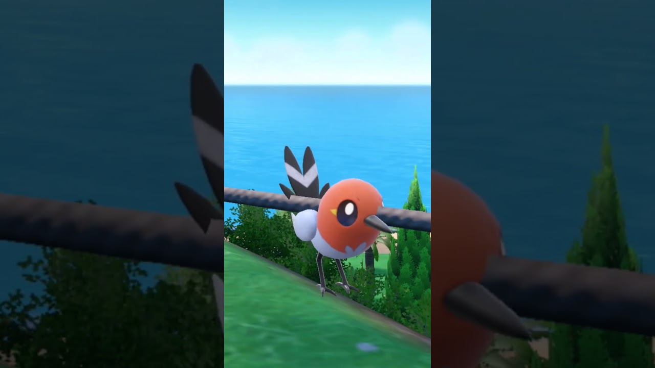 柵に刺さるDJヤヤコマ将軍 #shorts  #ポケモンSV #スプラトゥーン  #音mad #ネタ