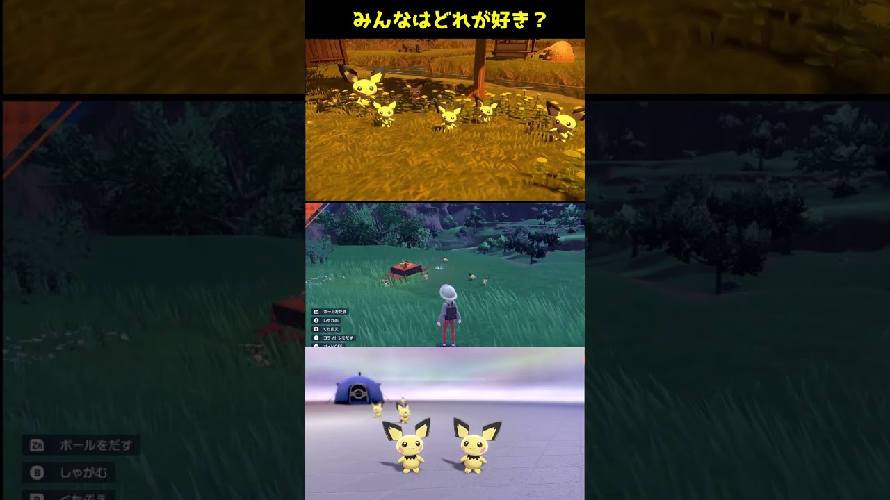 【ポケモンSV】みんなはどのキャンプが好き？【ピチュー】