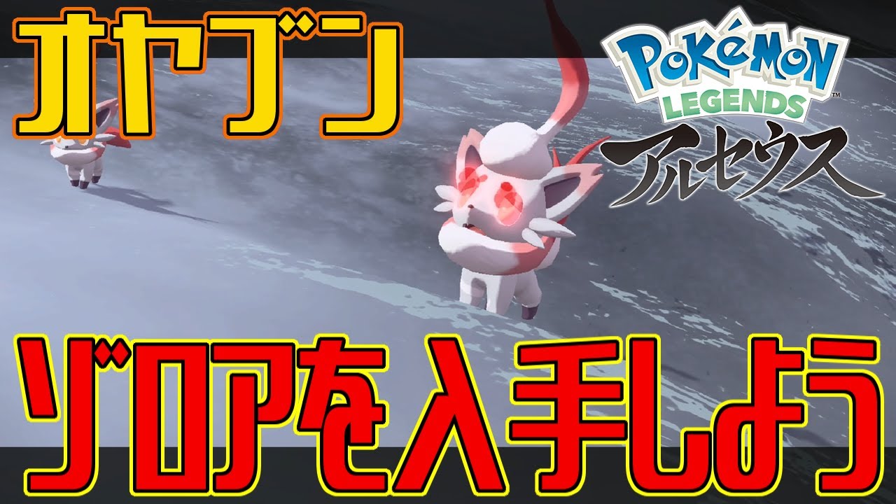 【ポケモンアルセウス】オヤブンのゾロアを入手しよう【Pokémon LEGENDS アルセウス】