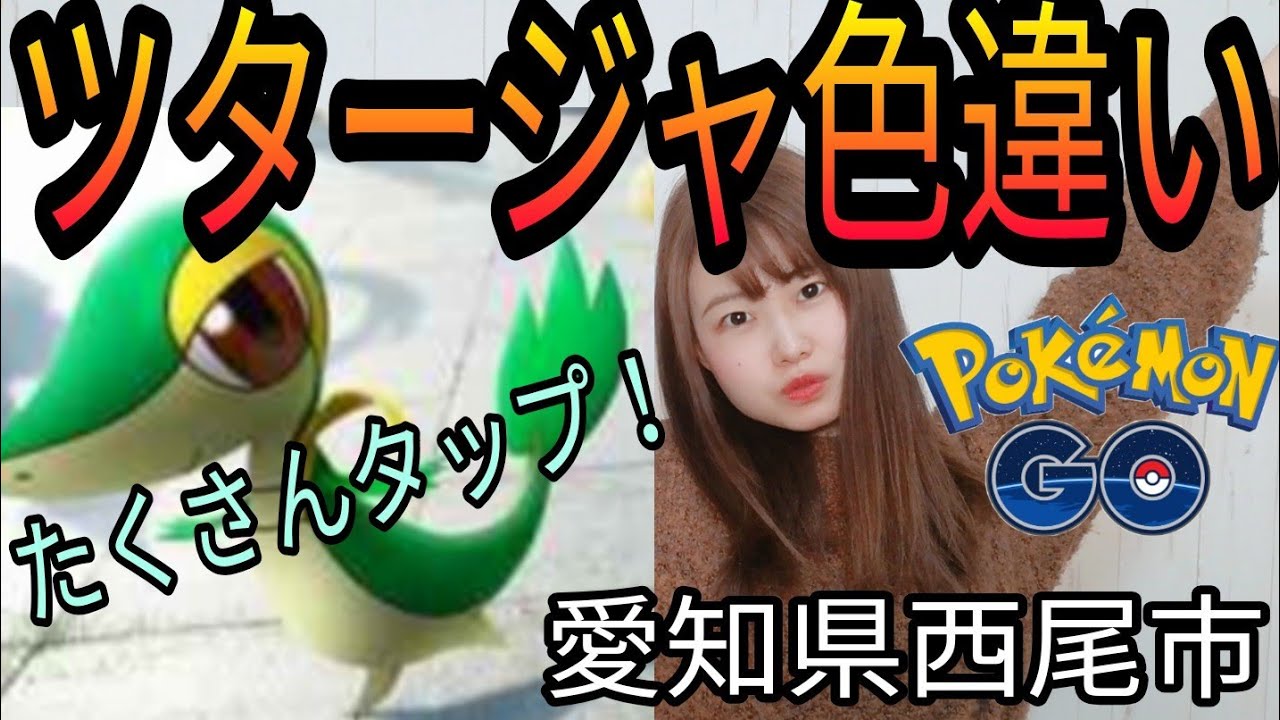 「ポケモンGO」ツタージャ捕獲しまくるぞ愛知県西尾市
