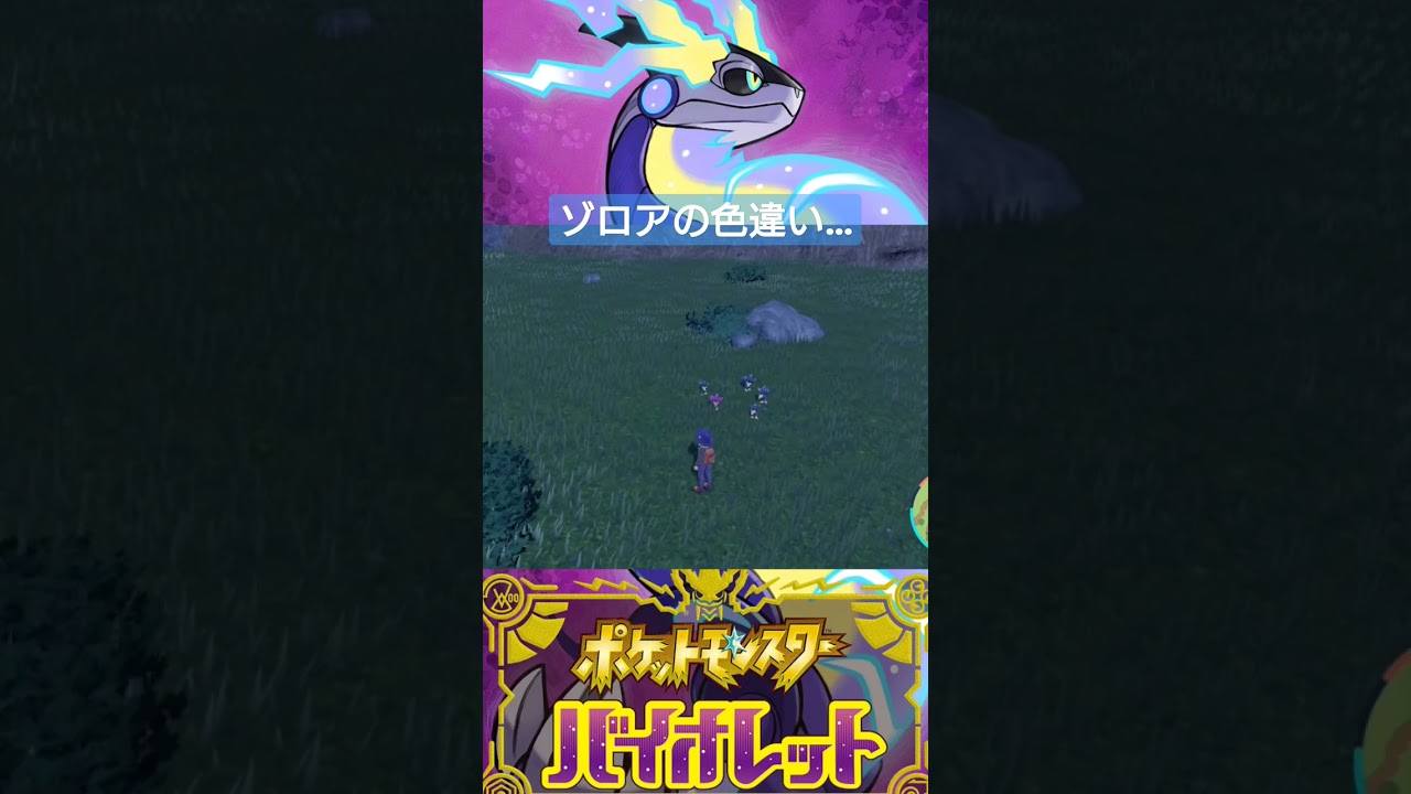 【ポケモンSV】ゾロアの色違いを探していたら… #shorts