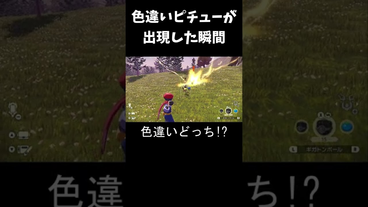 色違いピチュー が 出現した瞬間【ポケモンアルセウス】#shorts