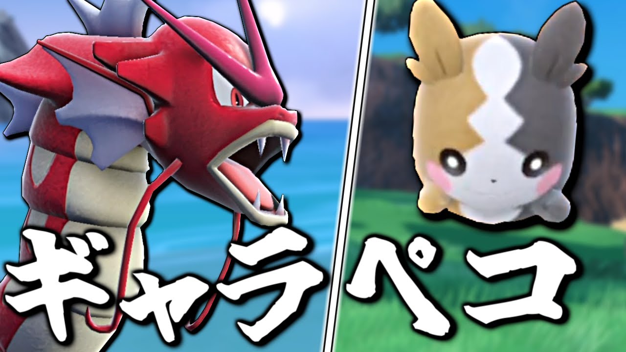 「モルペコ」と「ギャラドス」の組み合わせでこの逆境世界で舞いたい【ポケモンSV】