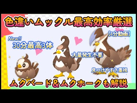 色違いムックル最高効率厳選4分動画 30分最高３体ゲット ムクバード＆ムクホークも #ポケモンsv #最高効率 #色違い #大量発生不要 #ムックル #ムクバード #ムクホーク