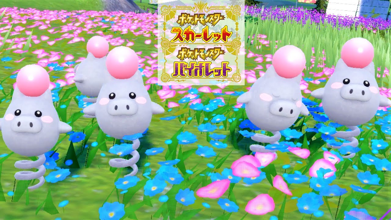 【可愛い】バネブー６匹に囲まれて癒されピクニック【ポケモンSV】