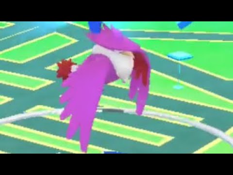 ポケモンGO ドンカラス