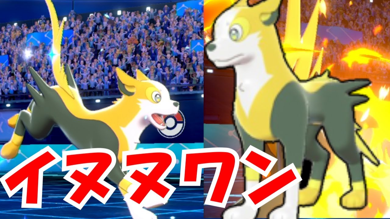 イヌヌワンなパルスワン！！【"ポケットモンスター　ソード＆シールド"　ランクマッチ奮闘記】
