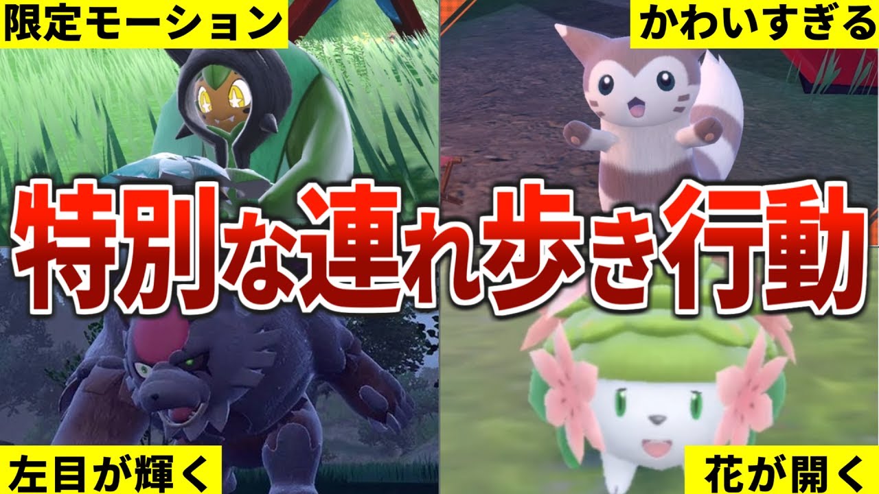 特別な連れ歩き行動を見せる追加ポケモン13選【ポケモンSV　碧の仮面】