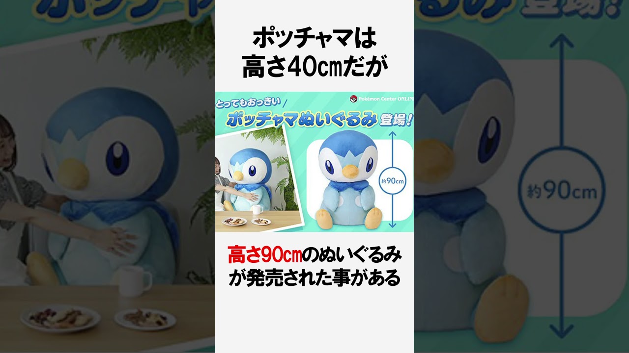 ポッチャマに関する面白い雑学【ポケモン雑学】#Shorts