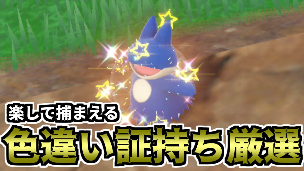 【ポケモンSV】楽して捕まえる色違い証持ち厳選（ゴンベ）【ゆっくり実況】