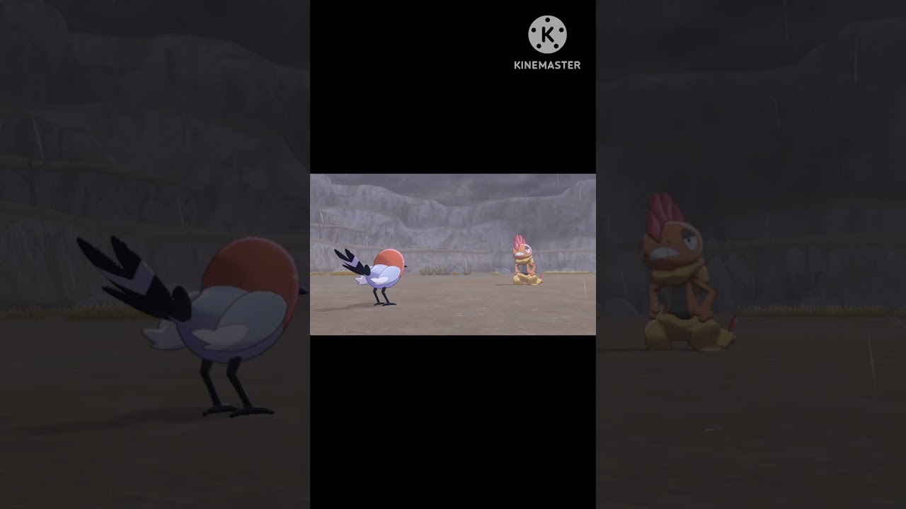 ポケモン剣盾　野生バトル　ヤヤコマ #ポケモン剣盾 #shorts