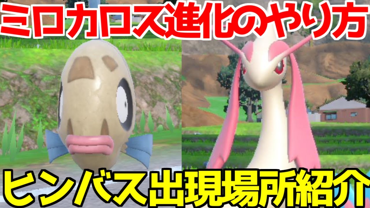 【ポケモンSV 碧の仮面】ヒンバス ミロカロス 出現場所 入手方法 進化方法  攻略【ポケモン スカーレット・バイオレット 】