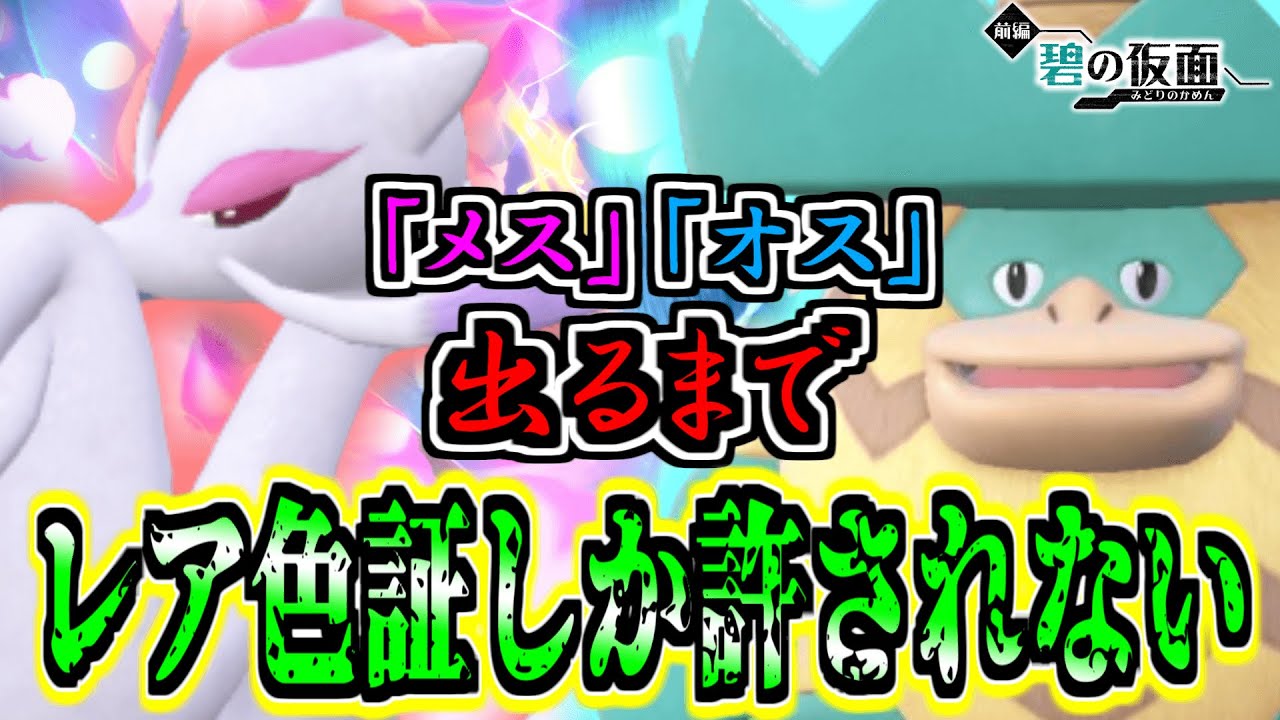 【色証オシャボ厨】レア色証化計画‼︎「コジョンド」と「ルンパッパ」狙い‼︎ 【ポケモンSV】
